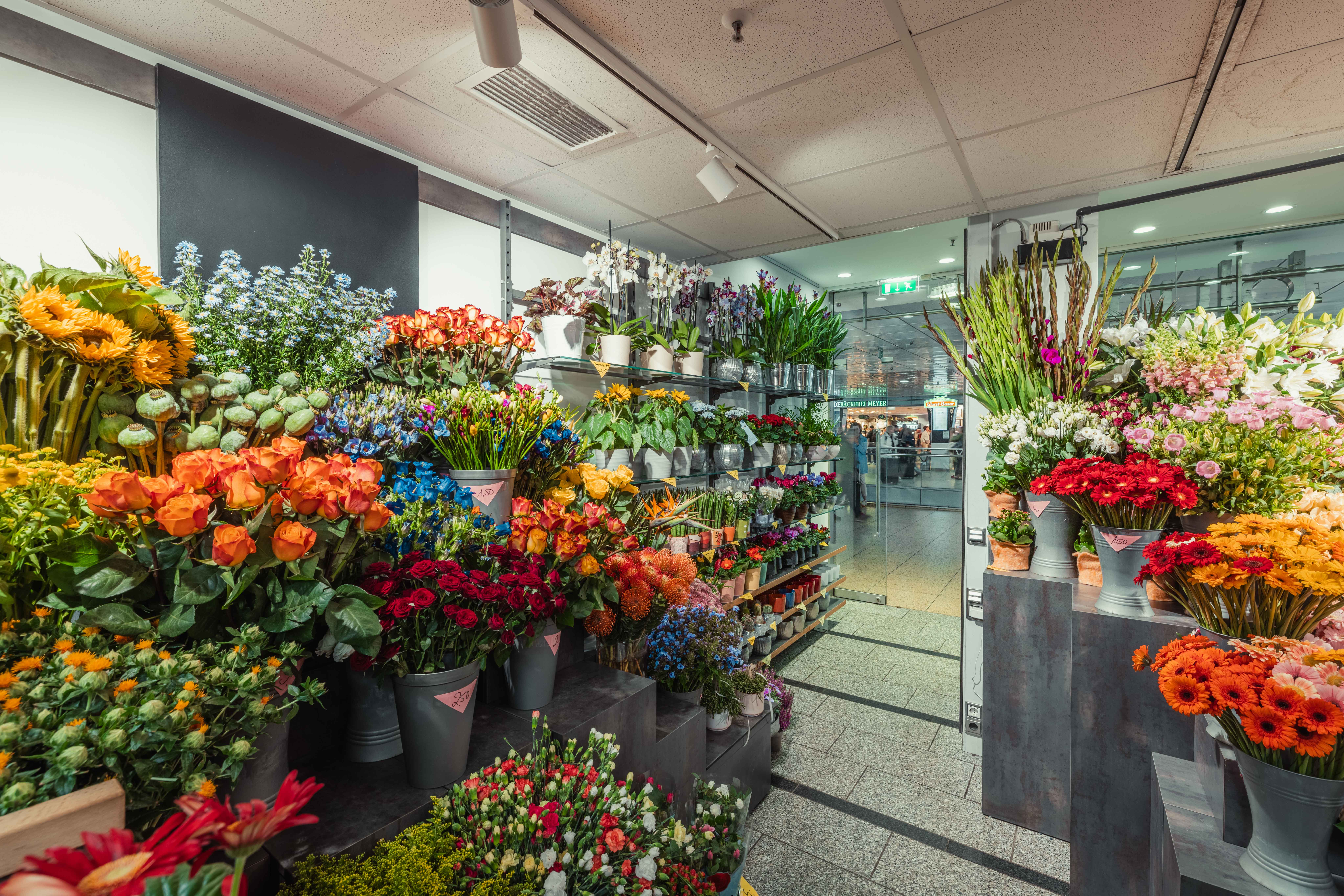 blumen wolf Hannover